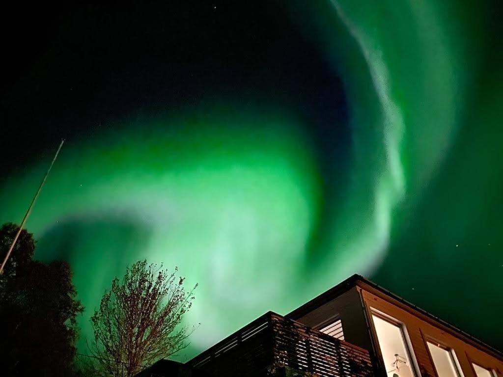 Waterfront Senja Apartamento Torsken Exterior foto