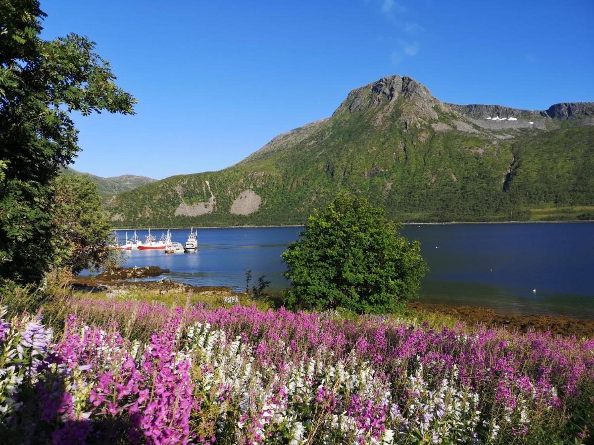 Waterfront Senja Apartamento Torsken Exterior foto